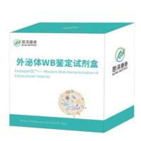 ExosuperQC®外泌体Calnexin WB鉴定试剂盒