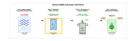 30分钟高效富集策略如何破解血液 miRNA 的提取难题？