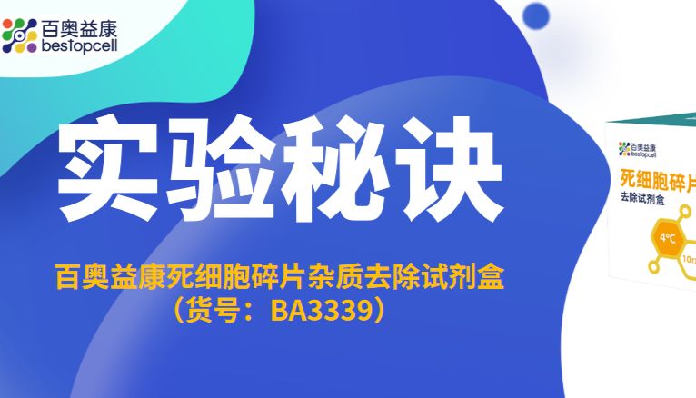 实验秘诀 | 净化单细胞悬液：高效去除死细胞与碎片的多组学数据保障