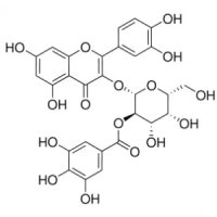 2”-O-没食子酰基金丝桃苷,53209-27-1,Moligand™, ≥98%(HPLC),阿拉丁