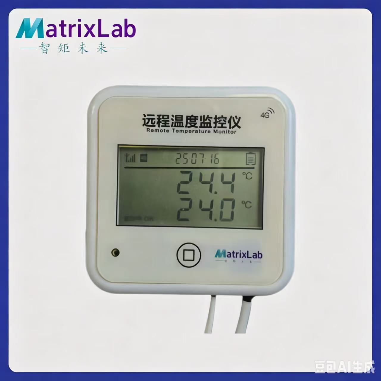 T001D远程温度监控仪