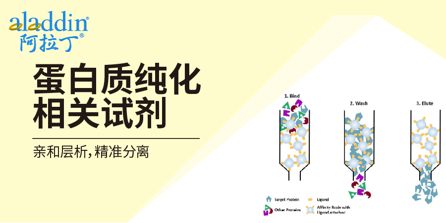 【阿拉丁】蛋白质纯化相关试剂：亲和层析，精准分离