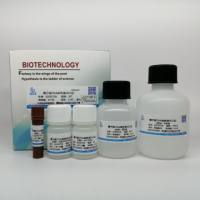 精子核DNA染色液(AO法)