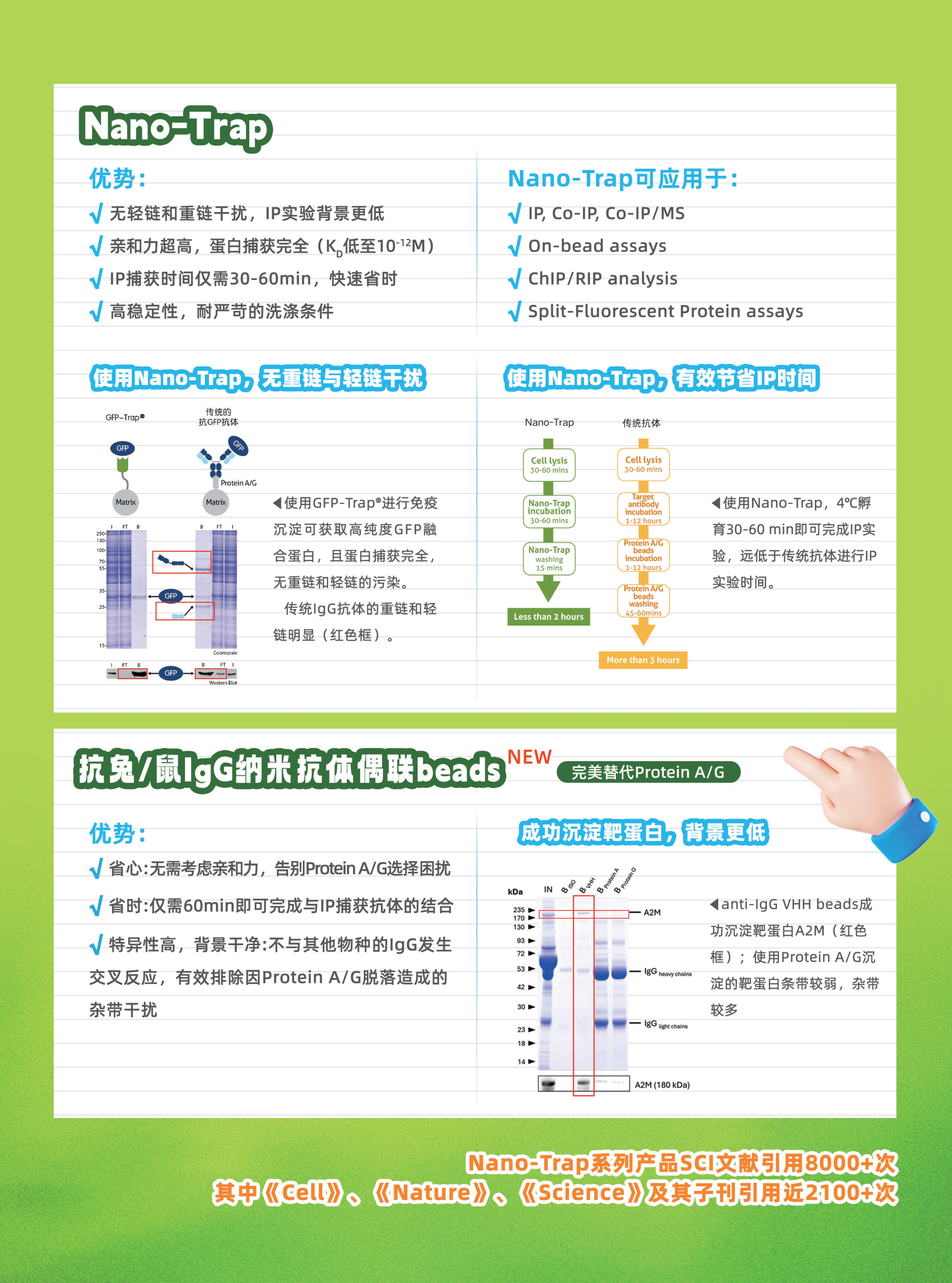 新闻图片2