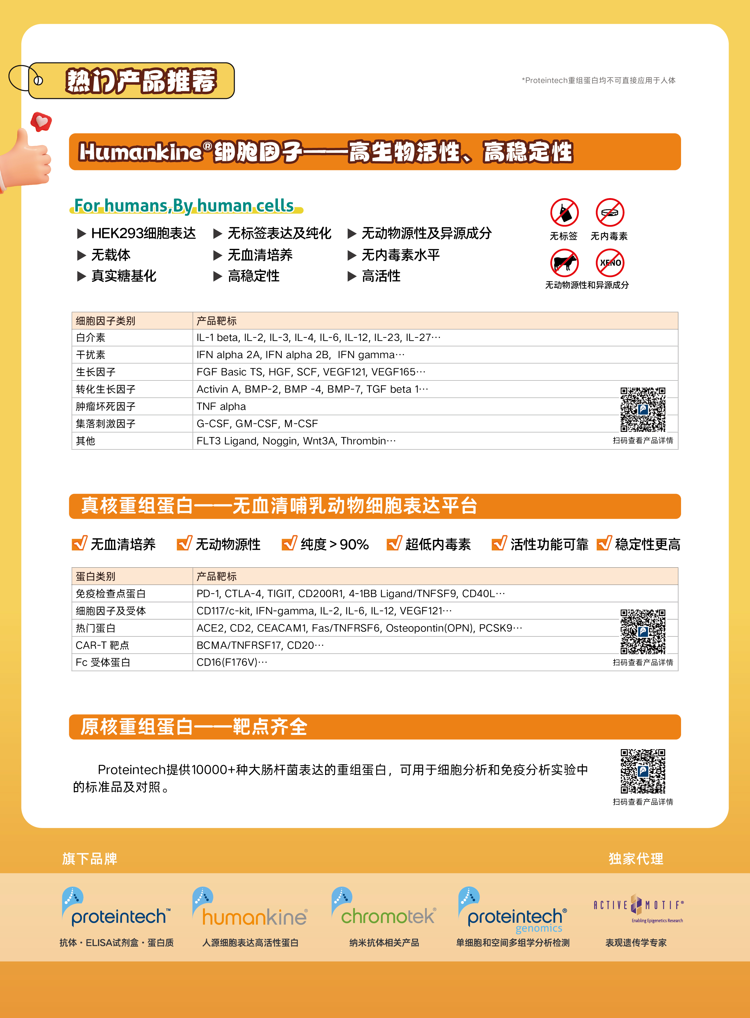 新闻图片2