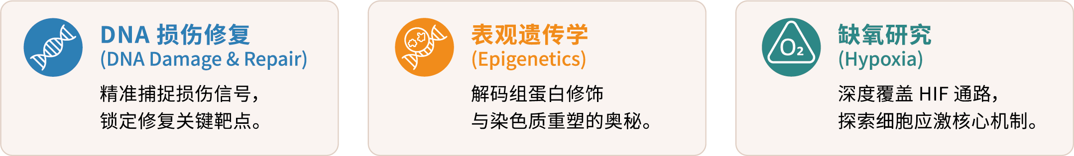 6月-8月促銷 帶logo 1000份.png 6月-8月促銷 帶logo 1000份.png