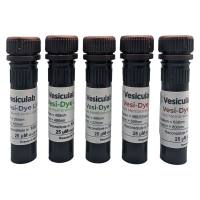 vesiculab Vesi-Dye LMB | 亲脂性嵌入式荧光探针