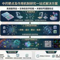 谱度众合中药靶点及作用机制研究一站式解决方案