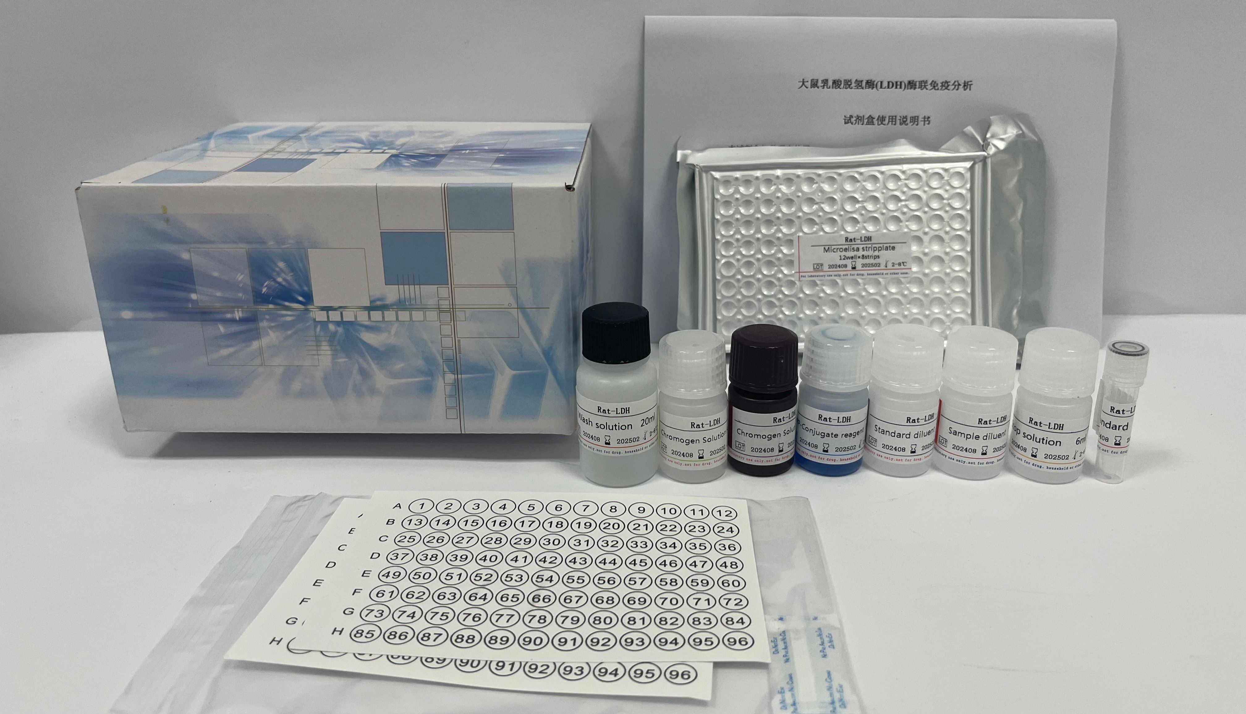 ELISA和Western Blot：蛋白质检测技术的比较