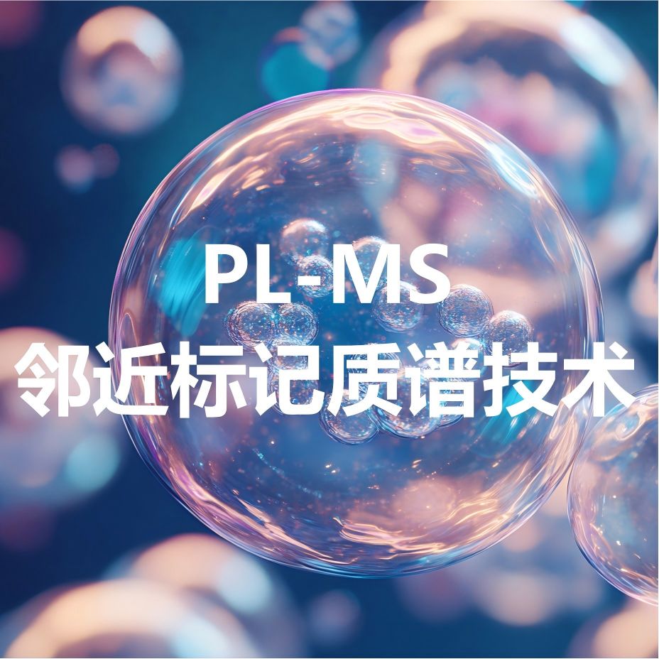 蛋白互作研究:谱度众合PL-MS邻近标记质谱技术表达筛选解决方案