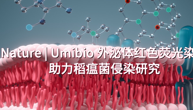 Nature | Umibio 外泌体红色荧光染料助力稻瘟菌侵染研究！