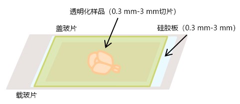 101575964854.jpg