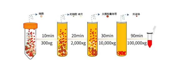 新闻图片3