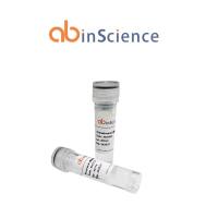 Mouse H2AX Recombinant Protein (N-His), 重组小鼠H2AX蛋白 (His标签)