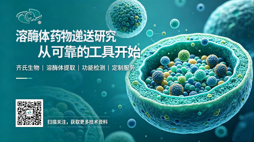 技术资料图片9