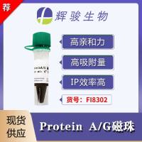 Protein A/G 磁珠-高纯抗体纯化-IP/Co-IP/Pull-down实验适用
