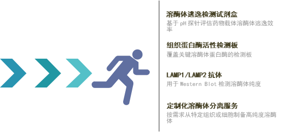 技术资料图片7