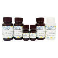 Verhoeff弹力纤维染色试剂盒，BioReagent, 生物染色剂, 用于显微镜，阿拉丁