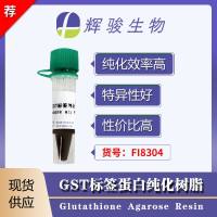 GST标签蛋白琼脂糖纯化树脂-辉骏生物gst纯化树脂价格低-高吸附容量 快流速 相容性好