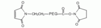 马来酰亚胺 PEG N-羟基琥珀酰亚胺, MAL-PEG-NHS,MW 10000 Da,阿拉丁