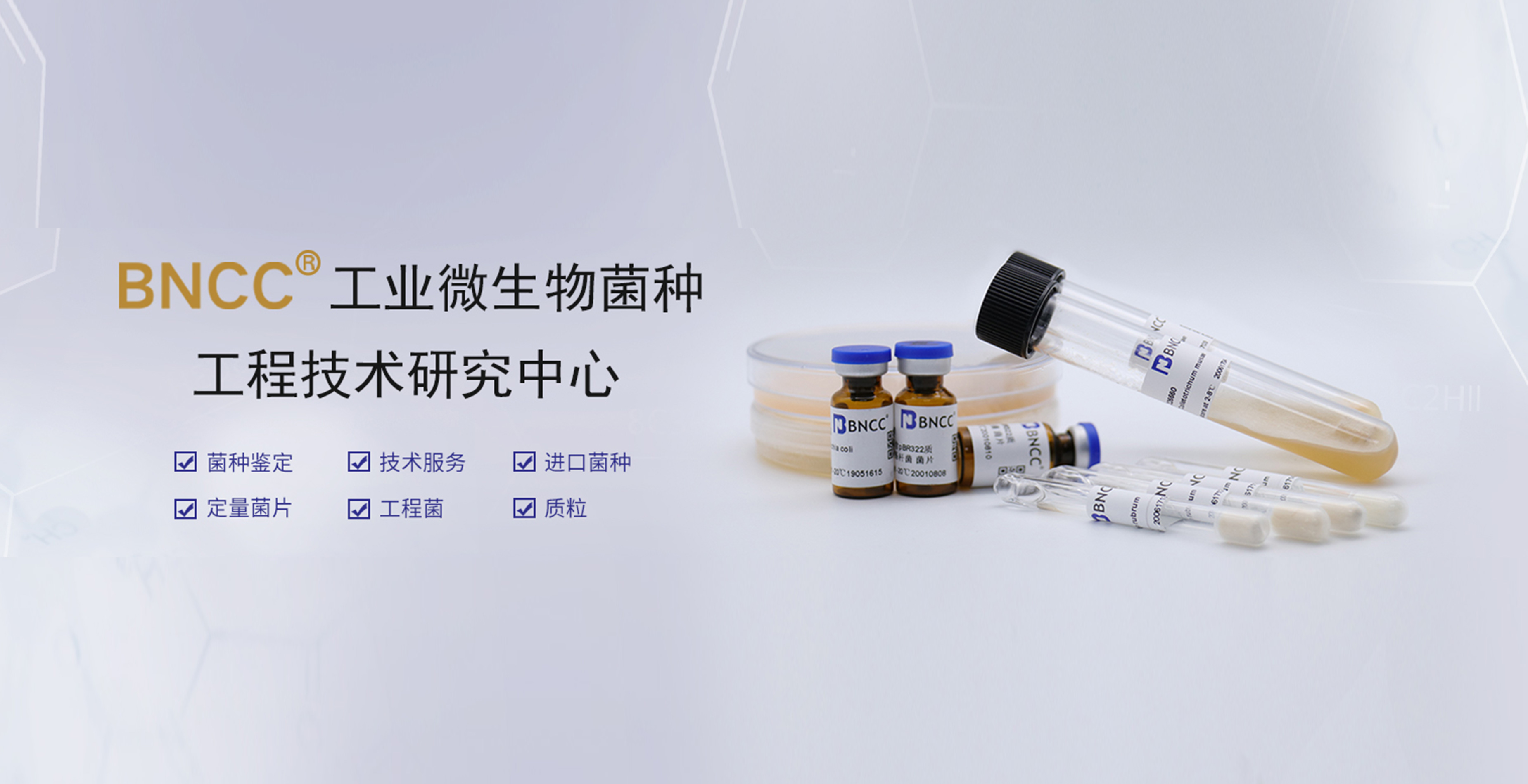2026年，标准菌株该去哪里购买？答案在这里！