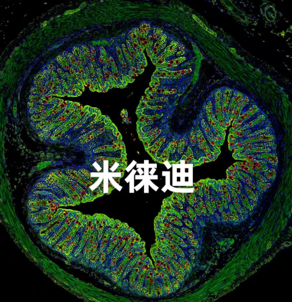 产品细节图片3