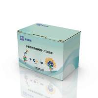 TSA多重荧光染料