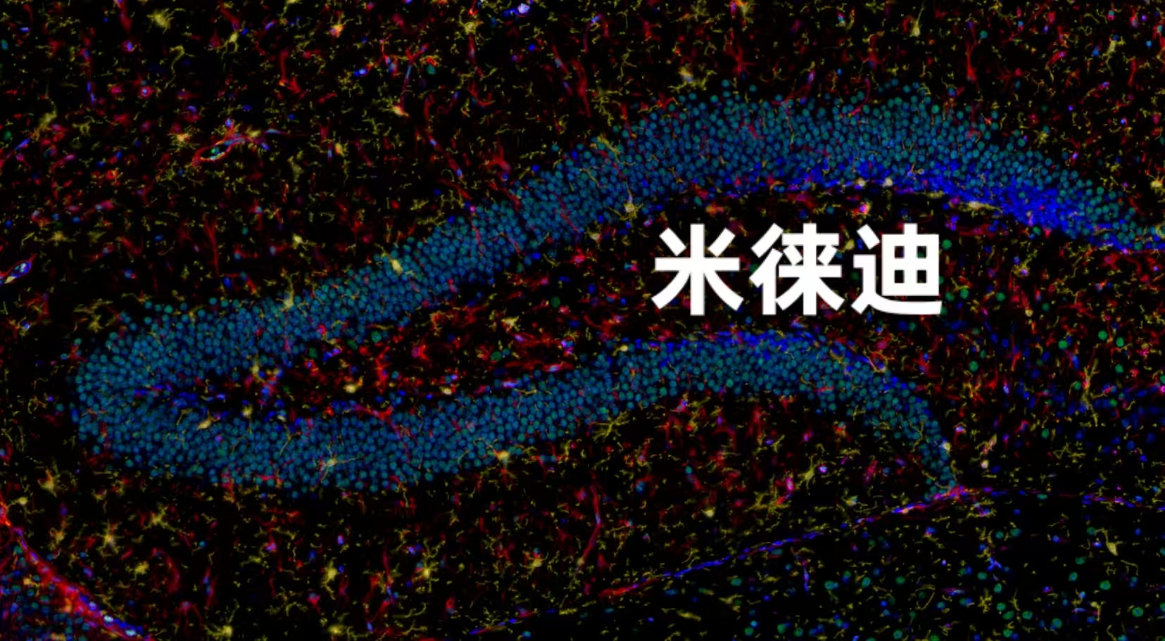 产品细节图片2