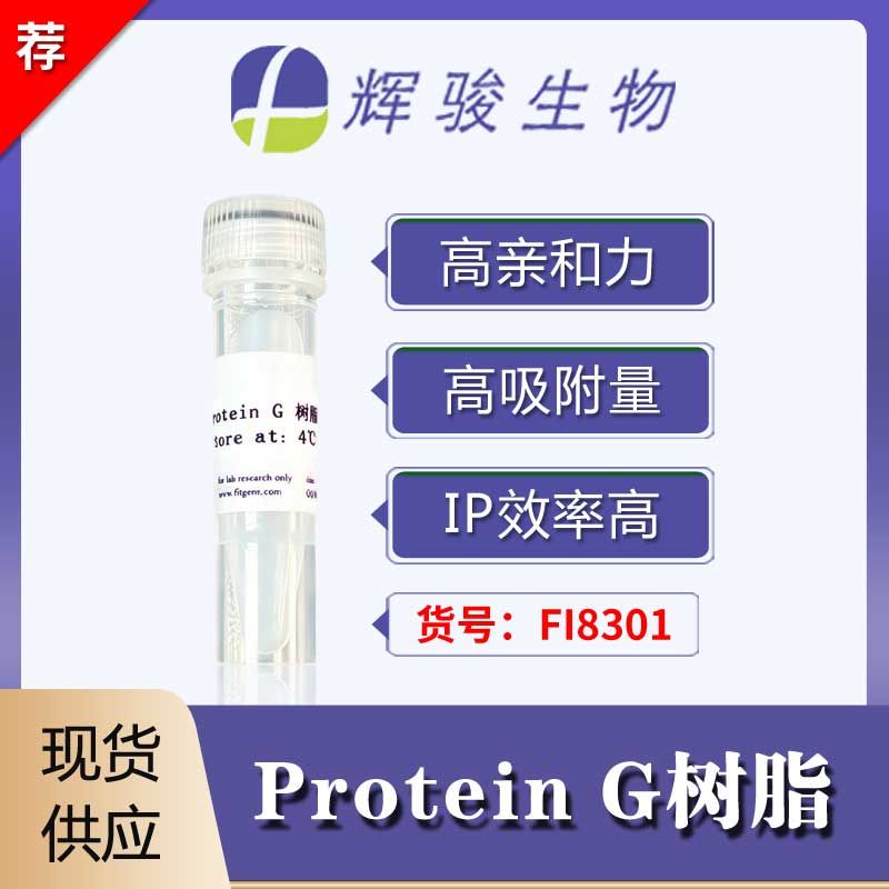 Protein G树脂-高吸附/高亲和力/高效IP-辉骏生物ProteinG琼脂糖树脂