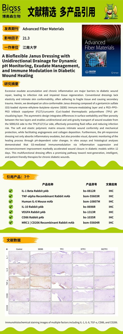 从渗液管理到免疫微环境改写：Bioss 抗体在 Janus 智能敷料机制验证中的关键角色