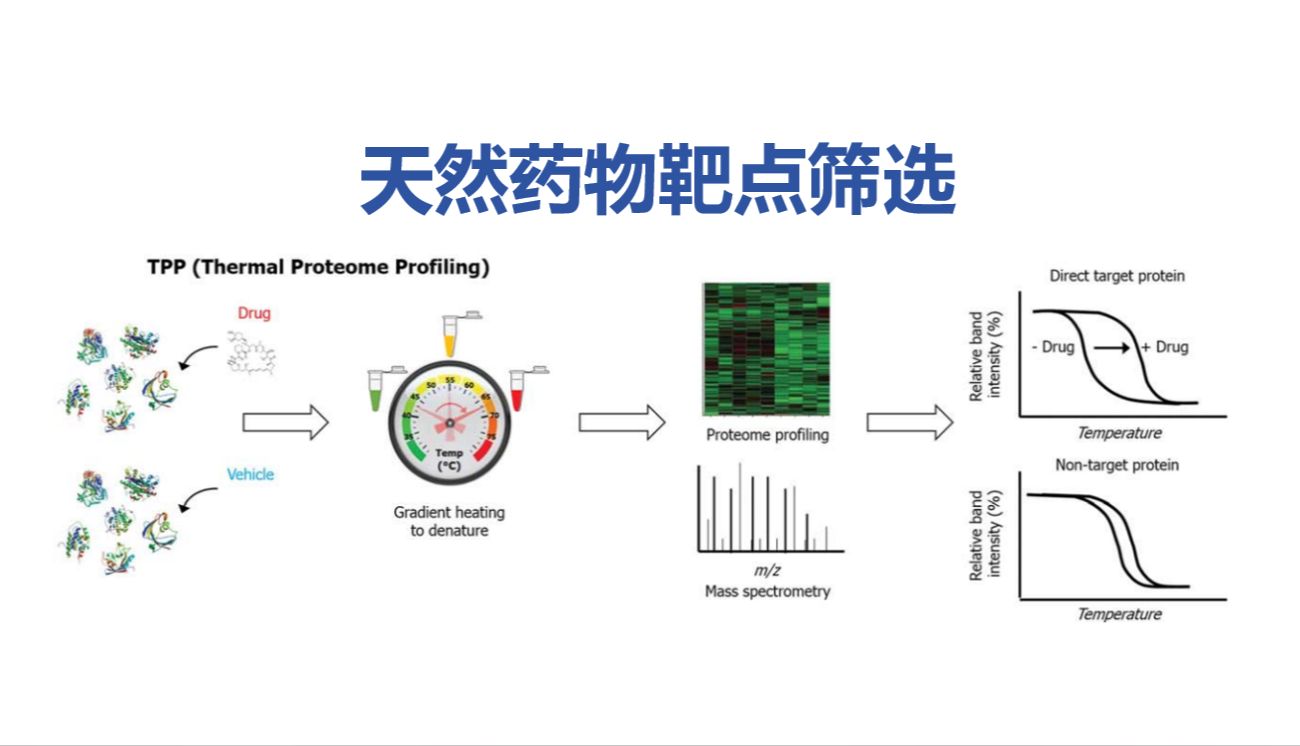 天然药物靶点案例：四大靶点筛选技术选型参考