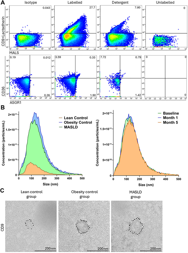 ApogeeFlow纳米流式仪文章分享,丹麦奥尔堡大学科研团队发表在JEV “Circulating Liver-Derived and CD36+ Extracellular Vesicles Correlate With Ectopic Liver Fat and Markers of Fibrosis in Metabolic Dysfunction-Associated Steatotic