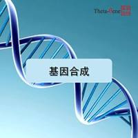基因合成