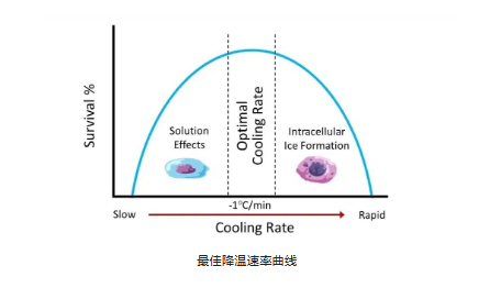 新闻图片3