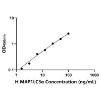 人微管关联蛋白1轻链3α(MAP1LC3α)ELISA试剂盒