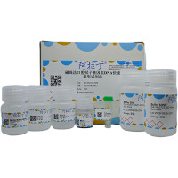 磁珠法口腔拭子基因组DNA快速提取试剂盒，for DNA and RNA applications, BioReagent，阿拉丁