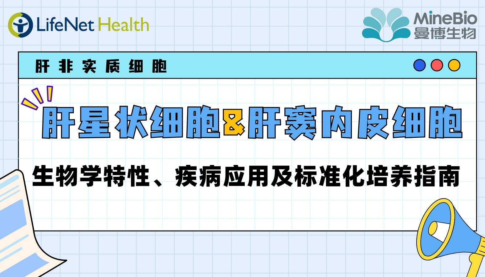 肝非实质细胞｜肝星状细胞与肝窦内皮细胞—生物学特性、疾病应用及标准化培养指南