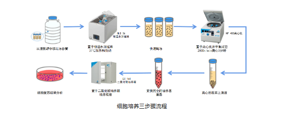 新闻图片4