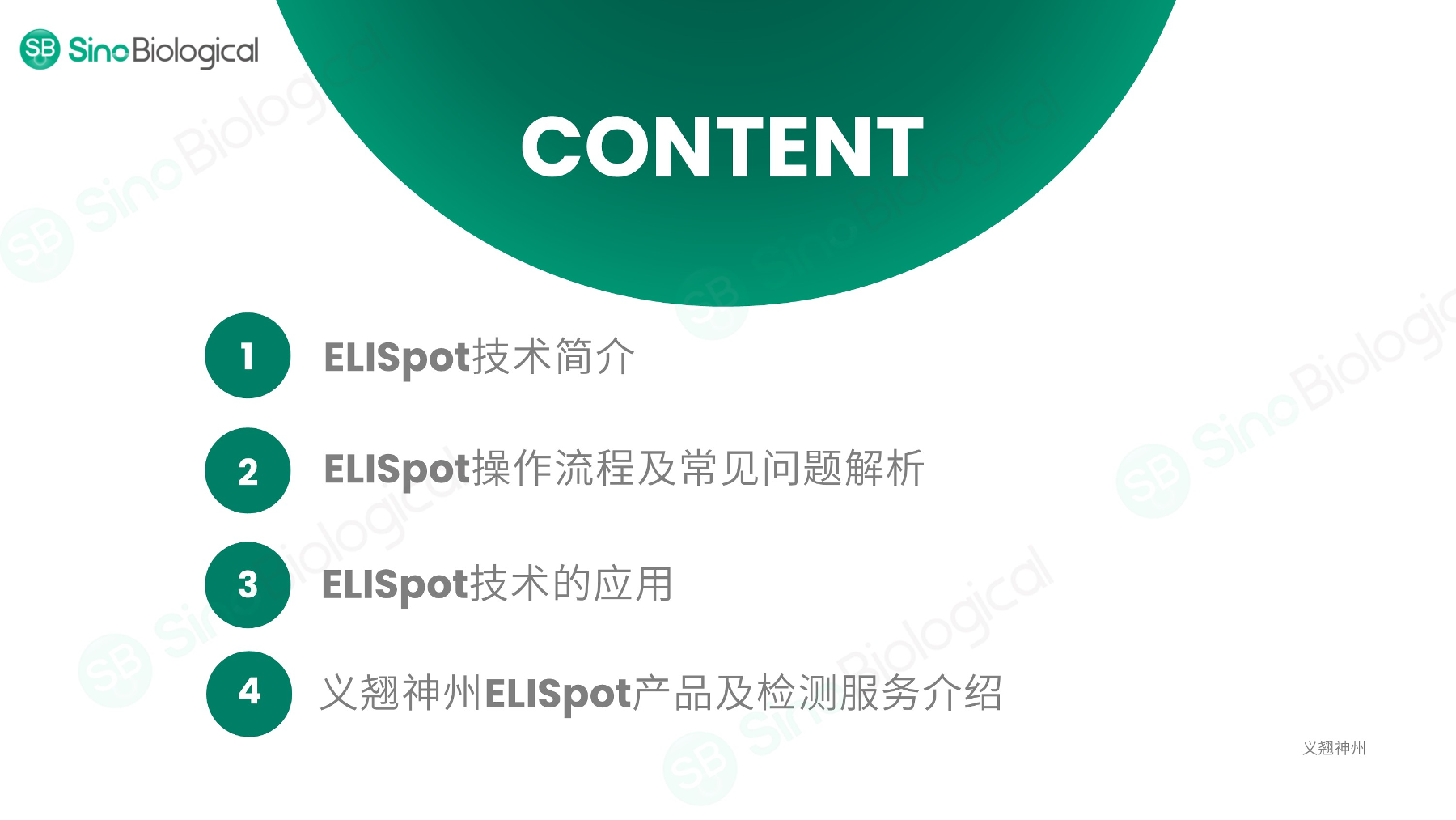 ppt