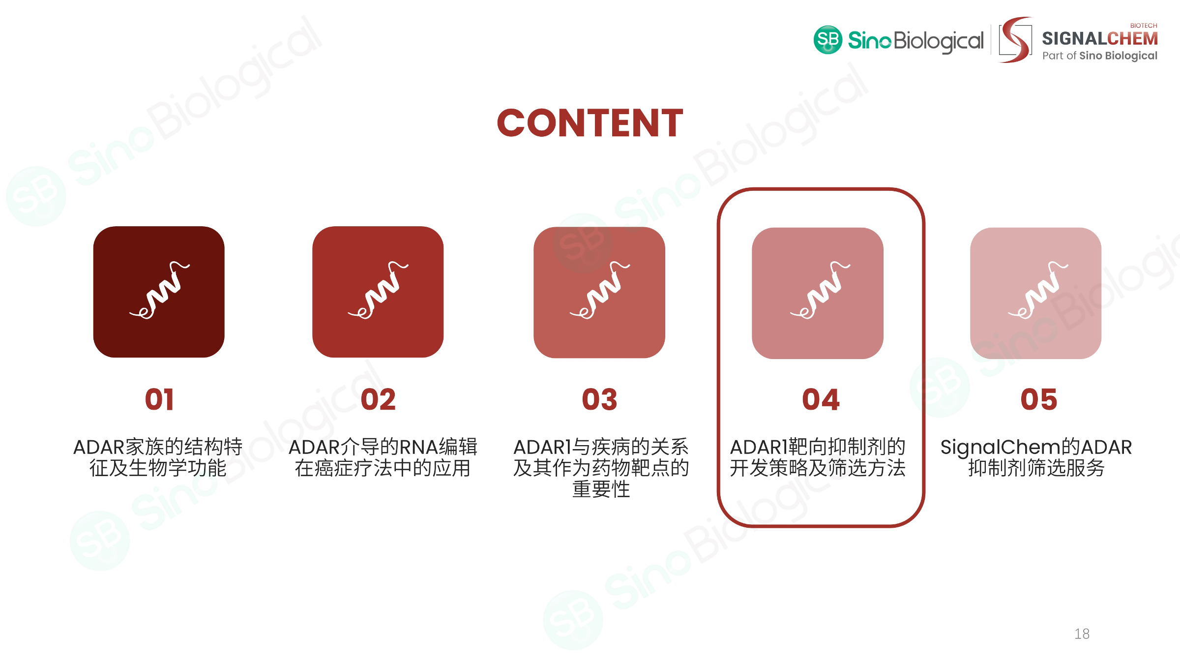ppt