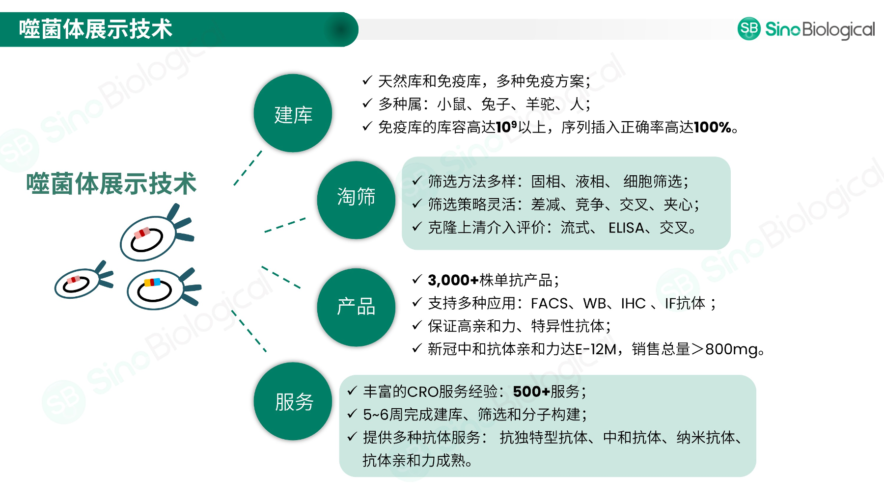 ppt