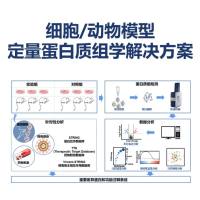 细胞/动物模型定量蛋白质组学解决方案