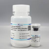 重组人穿膜肽碱性成纤维细胞生长因子-10 μg(细胞培养系列)