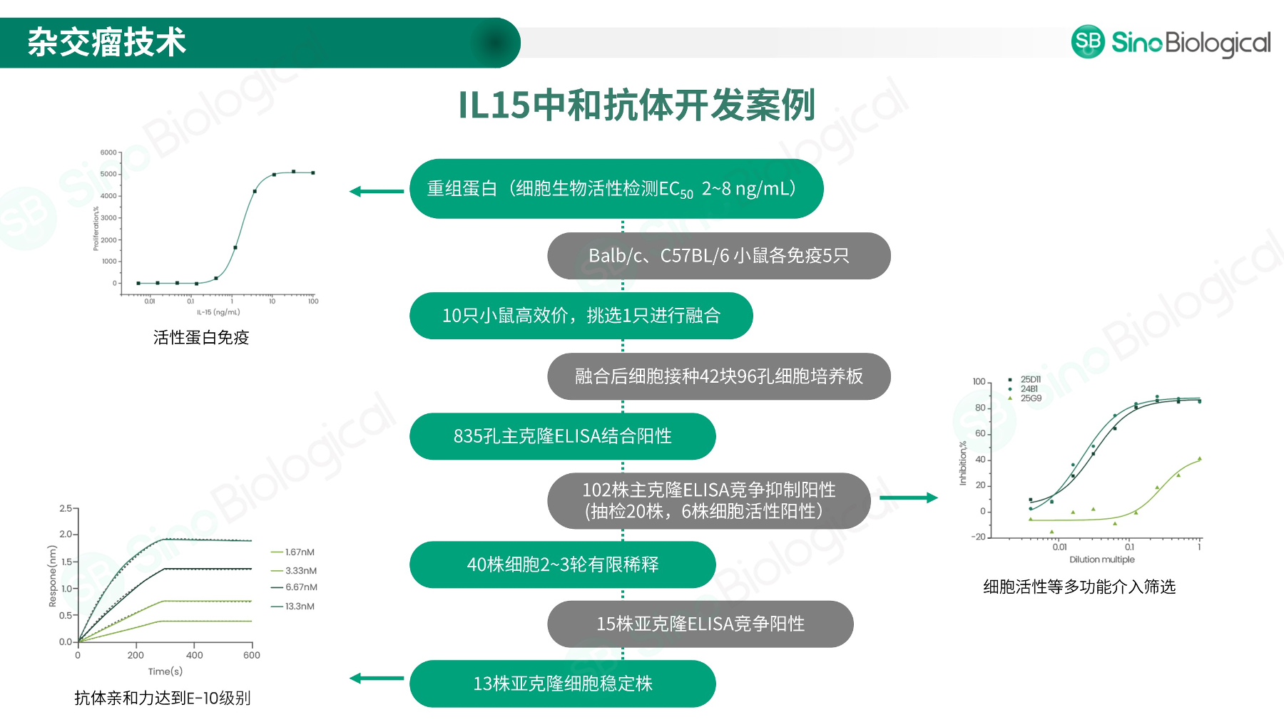 ppt