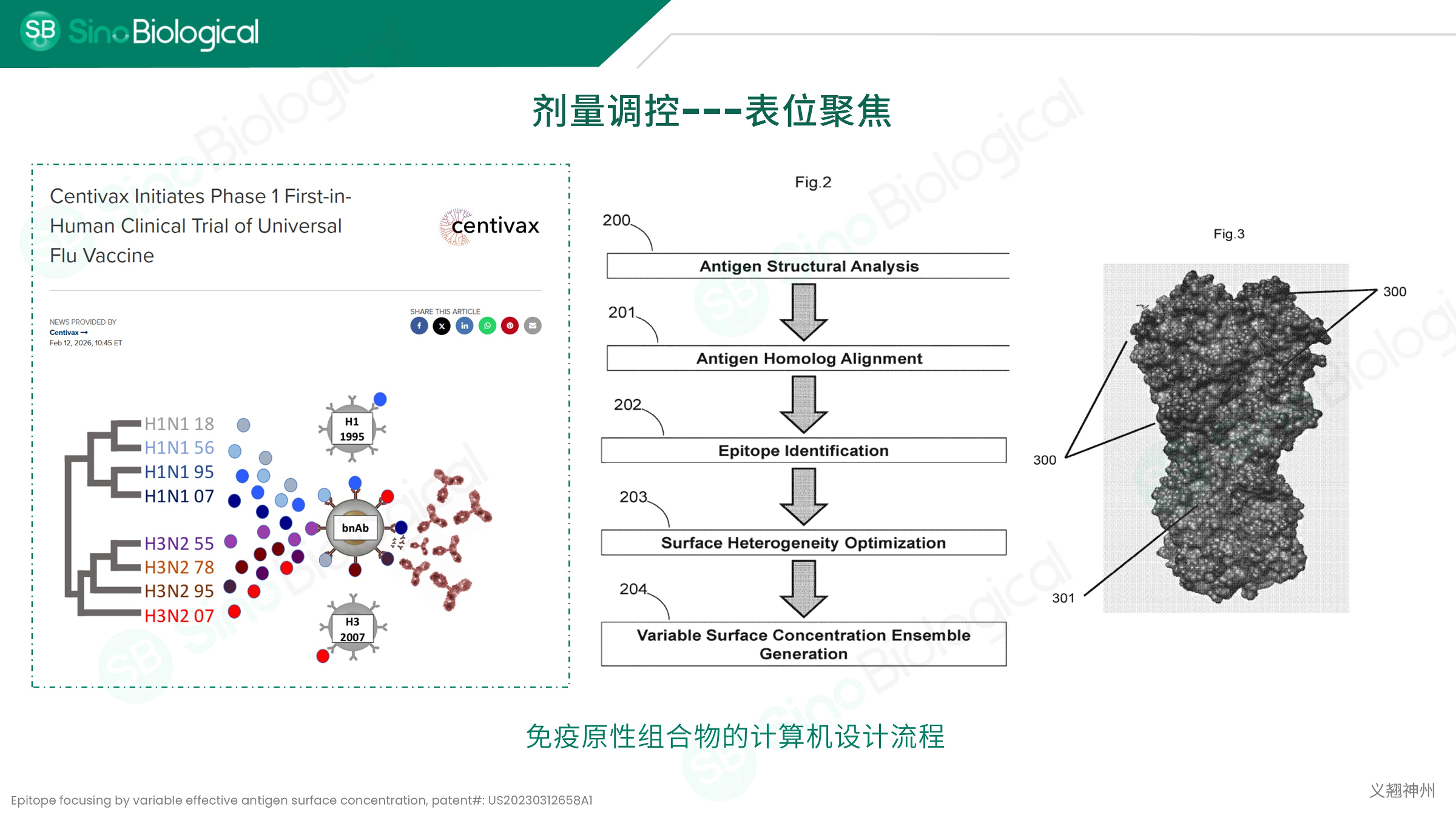 ppt