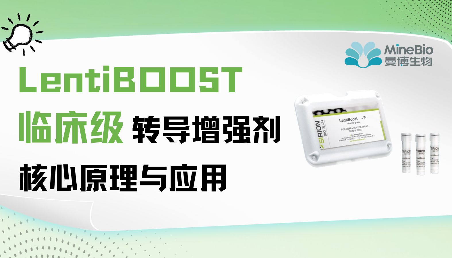 LentiBOOST｜临床级慢病毒转导增强剂的核心原理与应用全景