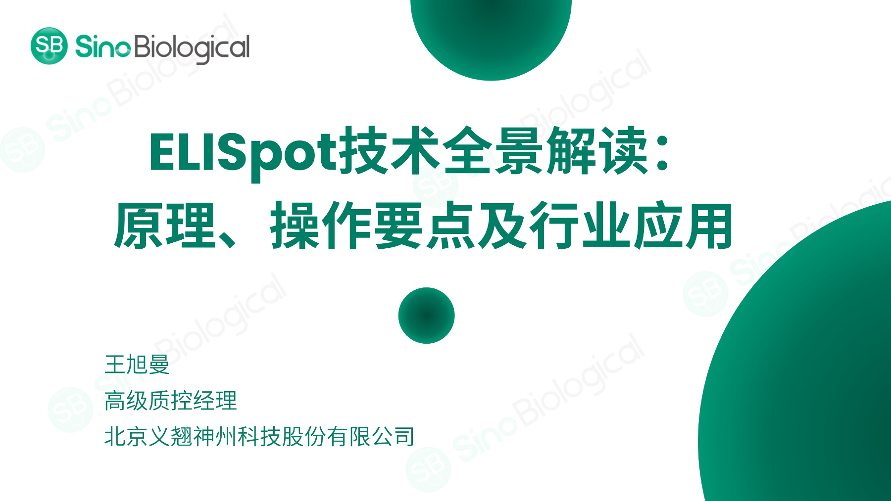 ppt
