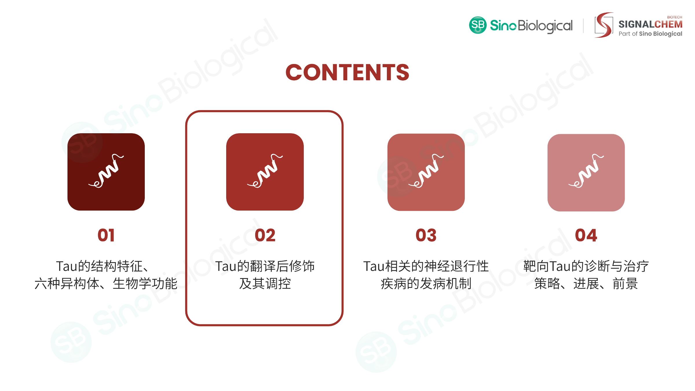 ppt