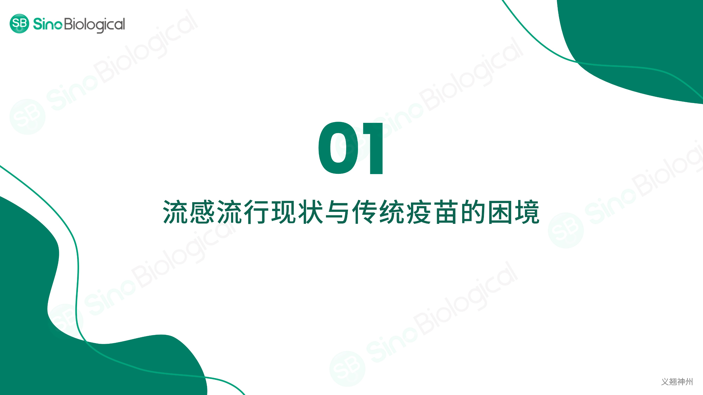 ppt