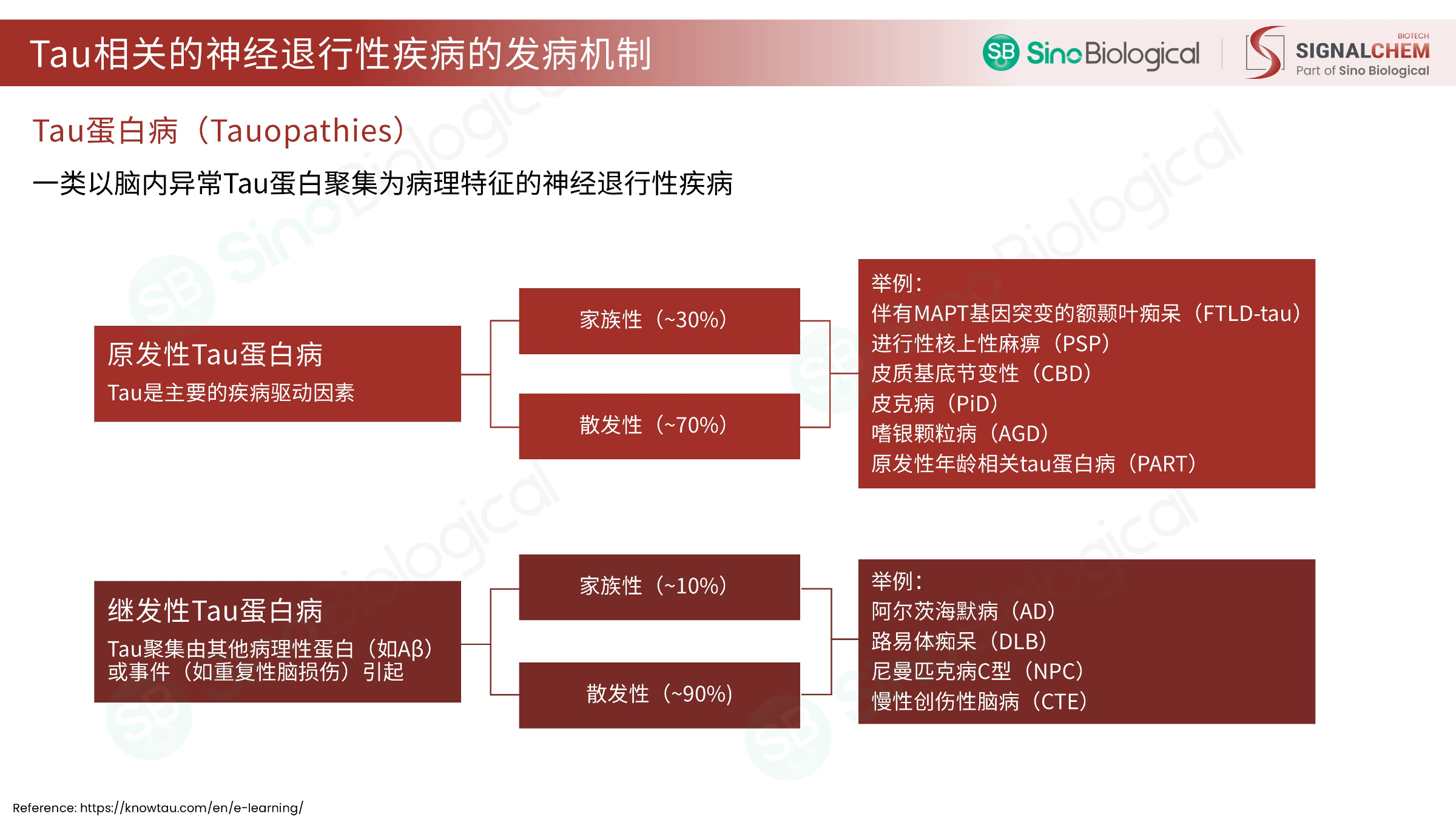 ppt